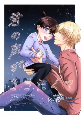 Kimi no Koe ga Kikitakute