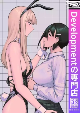 Developmentの専門店