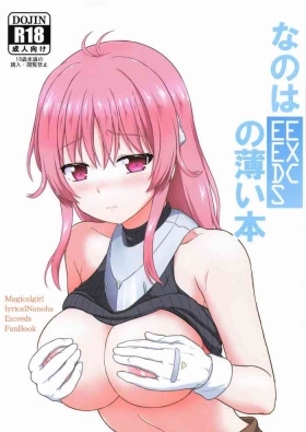 なのはEXCEEDSの薄い本