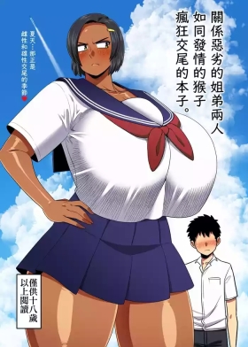 仲の悪い姉と弟が発情したサルみたいに交尾しまくる本。