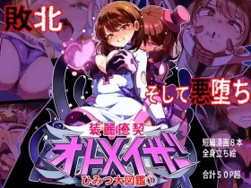 装麗癒契オトメイザー ひみつ大図鑑