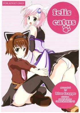 Girl On Girl Felis Catus - Tales of vesperia Bangkok