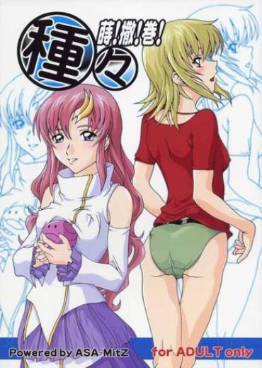 Lezdom Shuju Shi! San! Kan! – Gundam Seed