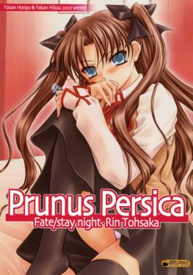 Doggystyle Prunus Persica - Fate stay night Whore