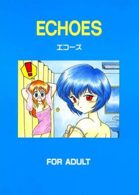  Echoes - Neon genesis evangelion Sailor moon Gundam Victory gundam Chick