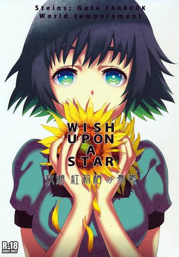  Wish a upon star - Steinsgate Fake Tits