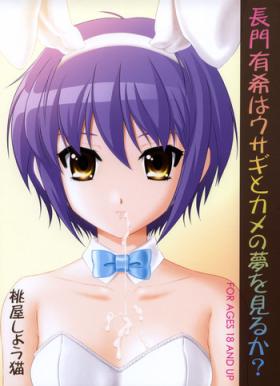 Speculum Nagato Yuki wa Usagi to Kame no Yume o Miru ka? - The melancholy of haruhi suzumiya Amature Sex Tapes