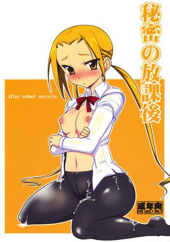 Girls Getting Fucked Himitsu No Houkago - Seitokai Yakuindomo Chick