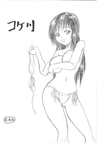 [Kaisou Shin Juurou] Kokegawa (To LOVE-ru)