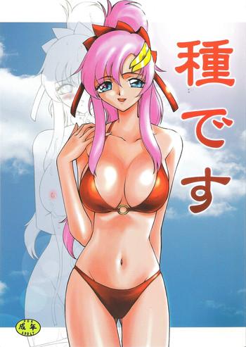 Teensex Tane Desu - Gundam Seed Destiny