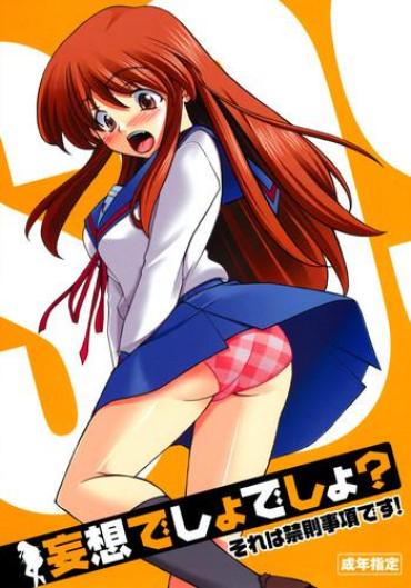 Magrinha Mousou Desho Desho? Sore Wa Kinsoku Jikou Desu! – The Melancholy Of Haruhi Suzumiya