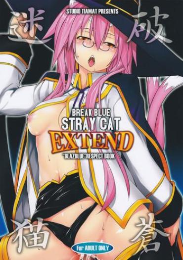 (C81) [Studio Tiamat (Tanabe)] Break Blue Stray Cat Extend (BlazBlue) [English] [doujin-moe.us]