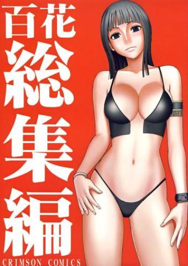 [Crimson Comics (Carmine)] Hyakka Soushuuhen (One Piece) [Digital]