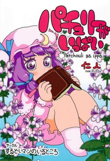 Penis Patchouli Ga Ippai – Touhou Project