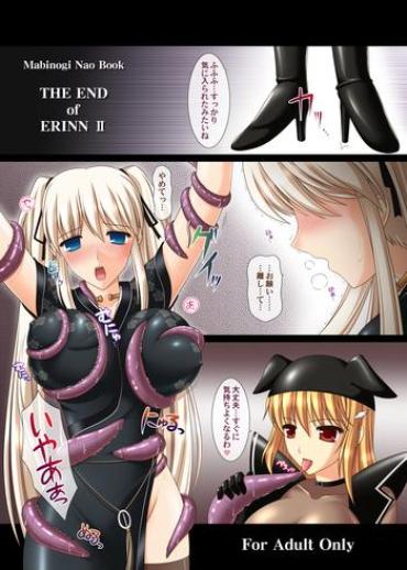 Hotporn THE END Of ERINN II – Mabinogi