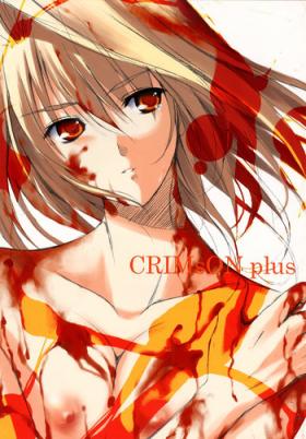 Curious CRIMsON plus - Tsukihime Foda