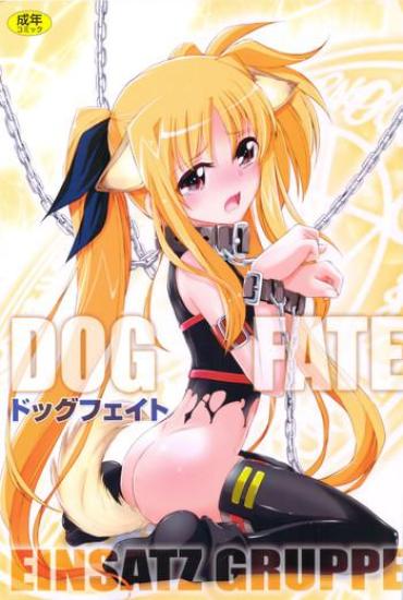 (C83) [EINSATZ GRUPPE (Charlie Nishinaka)] DOG FATE (Mahou Shoujo Lyrical Nanoha)