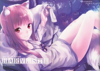 Tiny Girl Harvest II - Spice and wolf Super