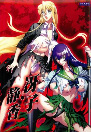 Perfect Pussy Saeko Shizuka – Highschool Of The Dead Sola