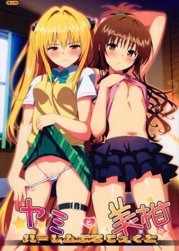 Caught Yami To Mikan No Harem Project – To Love Ru