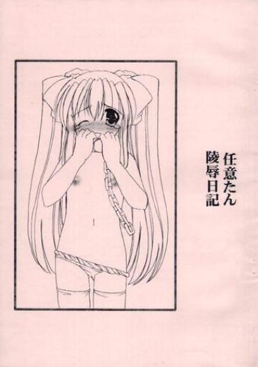Ninitan Ryoujoku Nikki