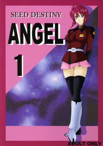 Glasses SEED DESTINY ANGEL 1 - Gundam Seed Destiny
