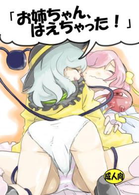Gozada Onee-chan, Haechatta! - Touhou project Ass Lick