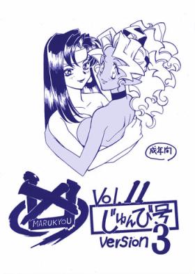 Mulher Kyouakuteki Shidou Vol. 11 Junbigou Version 3 - Tenchi muyo Forbidden