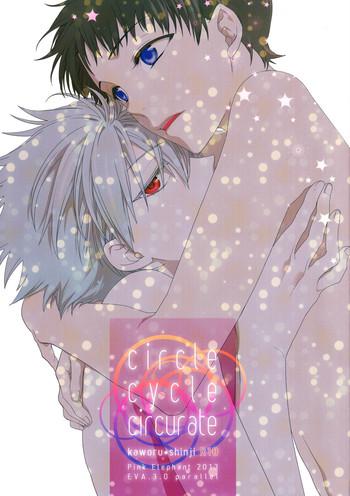 (C84) [Pink Elephant (Kotori)] Circle Cycle Circurate (Neon Genesis Evangelion)